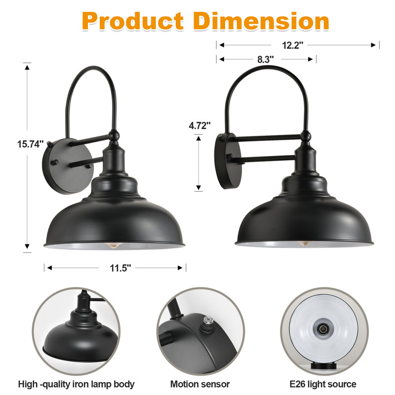 Anaia Iron Wall Light, Black/White