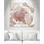 Intime rosé II - photographie-60493315-60493321