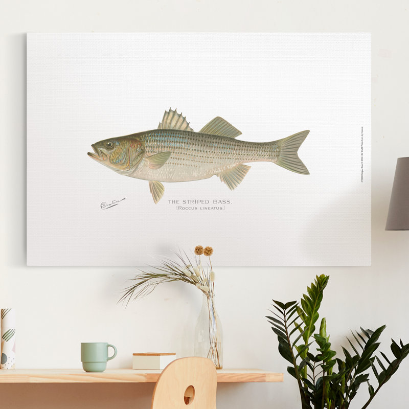 " Striped Bass ", 12" H x 8" W x 1" D