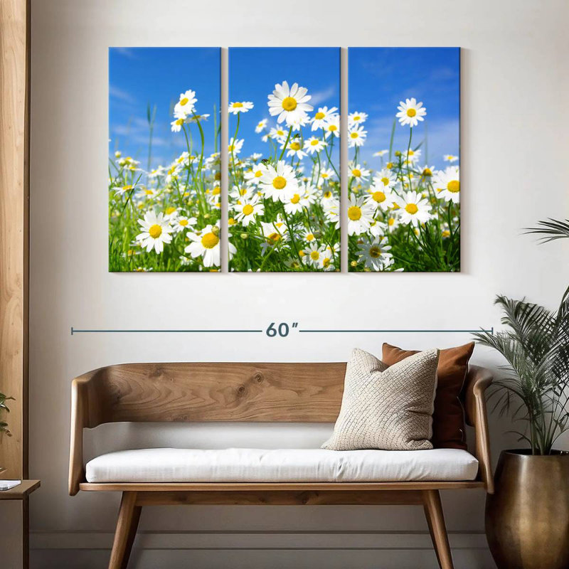 Alvord Daisies On A Sunny Day, H 32 po x l 50 po