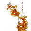Plastic, Silk Blossom Arrangement