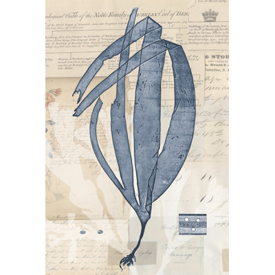 Seaweed Arrangement IV by Vision Studio - Print on Canvas