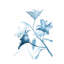 Floral Rhythm III Print by Janice Sadler-26729648-26729650