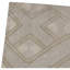 Hand Knotted Geometric Area Rug in Beige