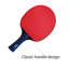 Hong Kong Qiyi E-commerce Co., Ltd. Solid Wood Table Tennis Paddle Case