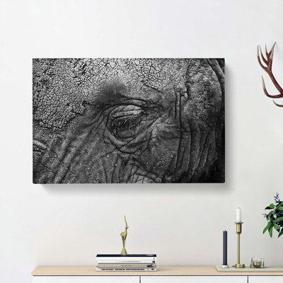 Elephant - Wrapped Canvas Print