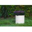 Pot de fleurs en fibre de verre Gethsemane-358502133-363088284