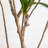 72'' Faux Dracaena Tree in Pot Liner