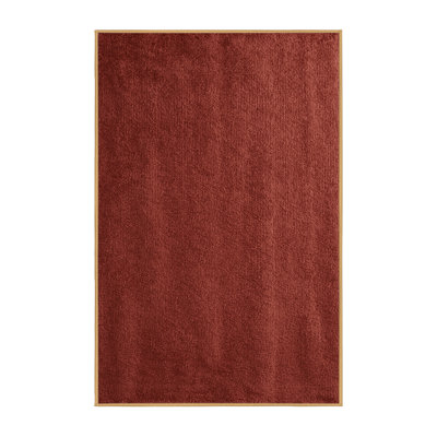 Machine Washable Solid Brown Area Rug