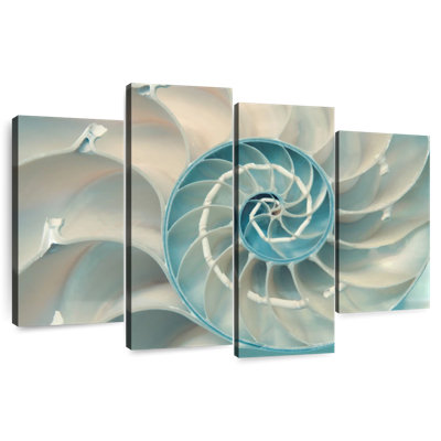 À l'intérieur d'une coquille Nautilus