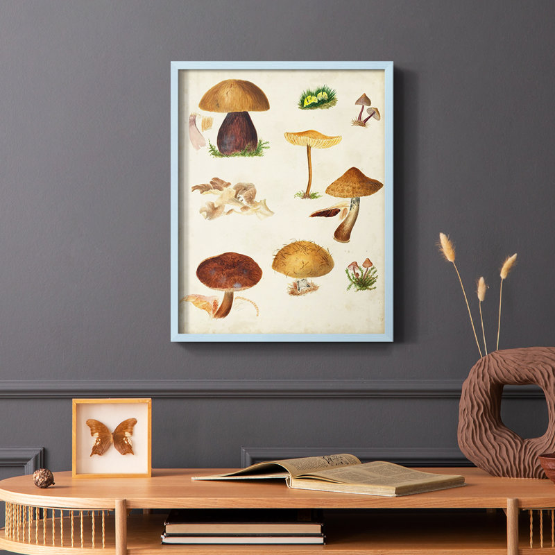 Reproduction encadrée champignon Mushroom Species II, Bleu, H 10 po x l 8 po