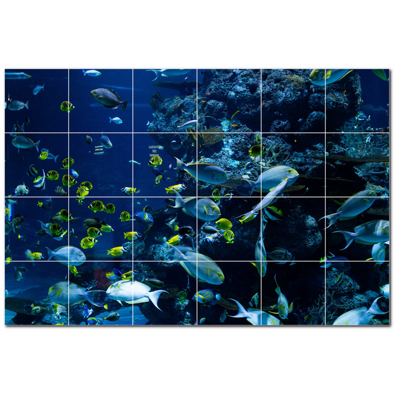 Corail photo 4,25 x 4,25