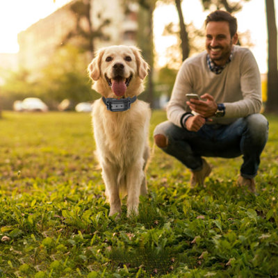 Wireless Electric Dog Fence