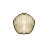Occasion Full/Standard Fixed Shower Head