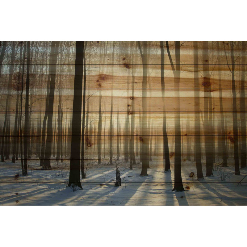 « Papineau » par Parvez Taj - impression d'une photo sur bois, 40 po x 60 po