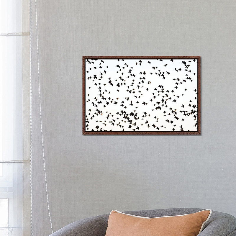 Starlings by Mateusz Piesiak - Floater Frame Print on Canvas, Classic Brown Wood Framed Canvas, 66.04 cm H x 45.72 cm W