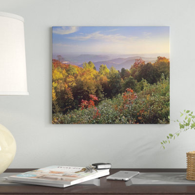 " Deciduous Forest In Autumn, Blue Ridge Mountains From Doughton Park, North Carolina " by Tim Fitzharris