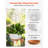 Hanging Planters 10 Inch Self-Watering Flower Pot Indoor & Outdoor