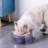 Pet Bowl-98664299