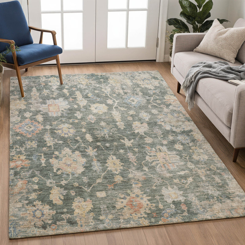 Machine Washable Indoor/Outdoor Francky ACN2355 Traditional Rug, Rectangle 3' x 5'