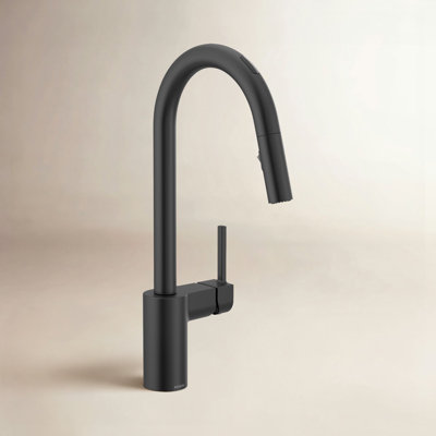 Align Smart Touchless Faucet with Accessories