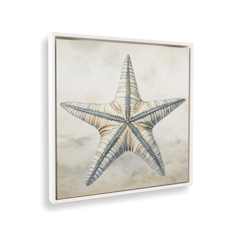 «Cape Cod Starfish» par Nicole DeCamp, reproduction d'art, Toile avec cadre, L 30 po x H 30 po, Blanc
