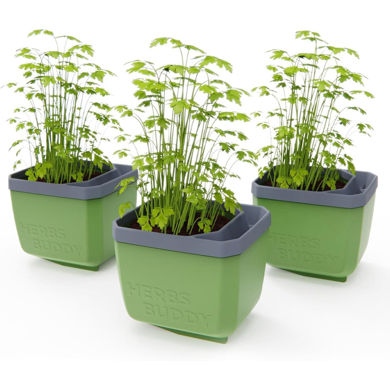 Herbs Buddy Self-Watering Planter Pot for Herbs, Special Water Level Indicator, Green, 3