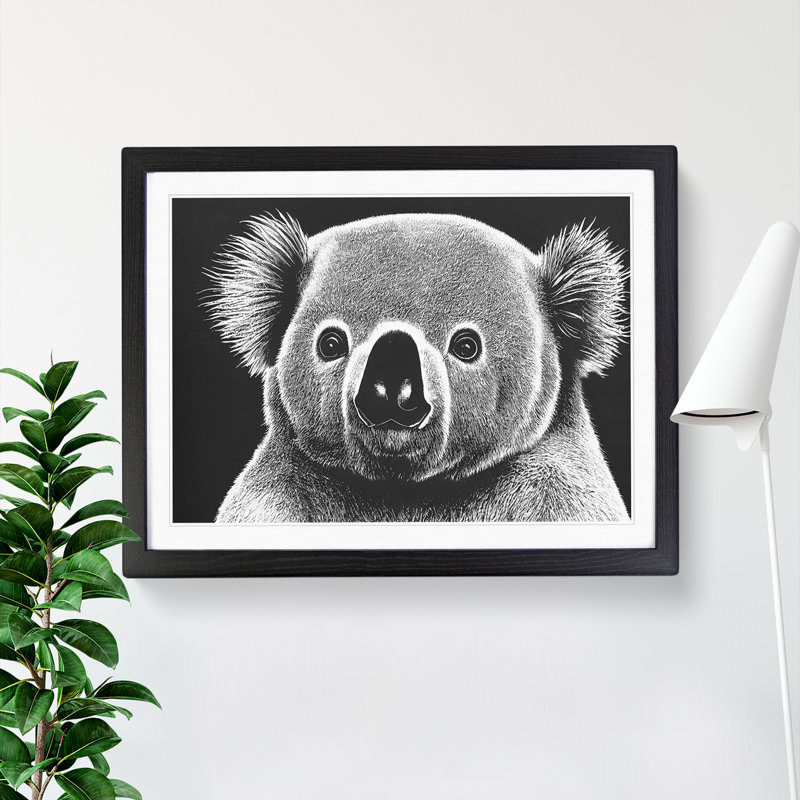 Koala Bear - Single Picture Frame Print, Black Framed, 46cm H x 64cm W