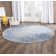 Olius Performance Oriental Rug