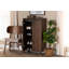 Armoire de rangement à chaussures 2 portes Talon au fini noyer et gris foncé, H 40,4 po x l 23,6 po x P 12,6 po