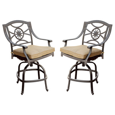 Edric Outdoor Patio Stool with Cushion