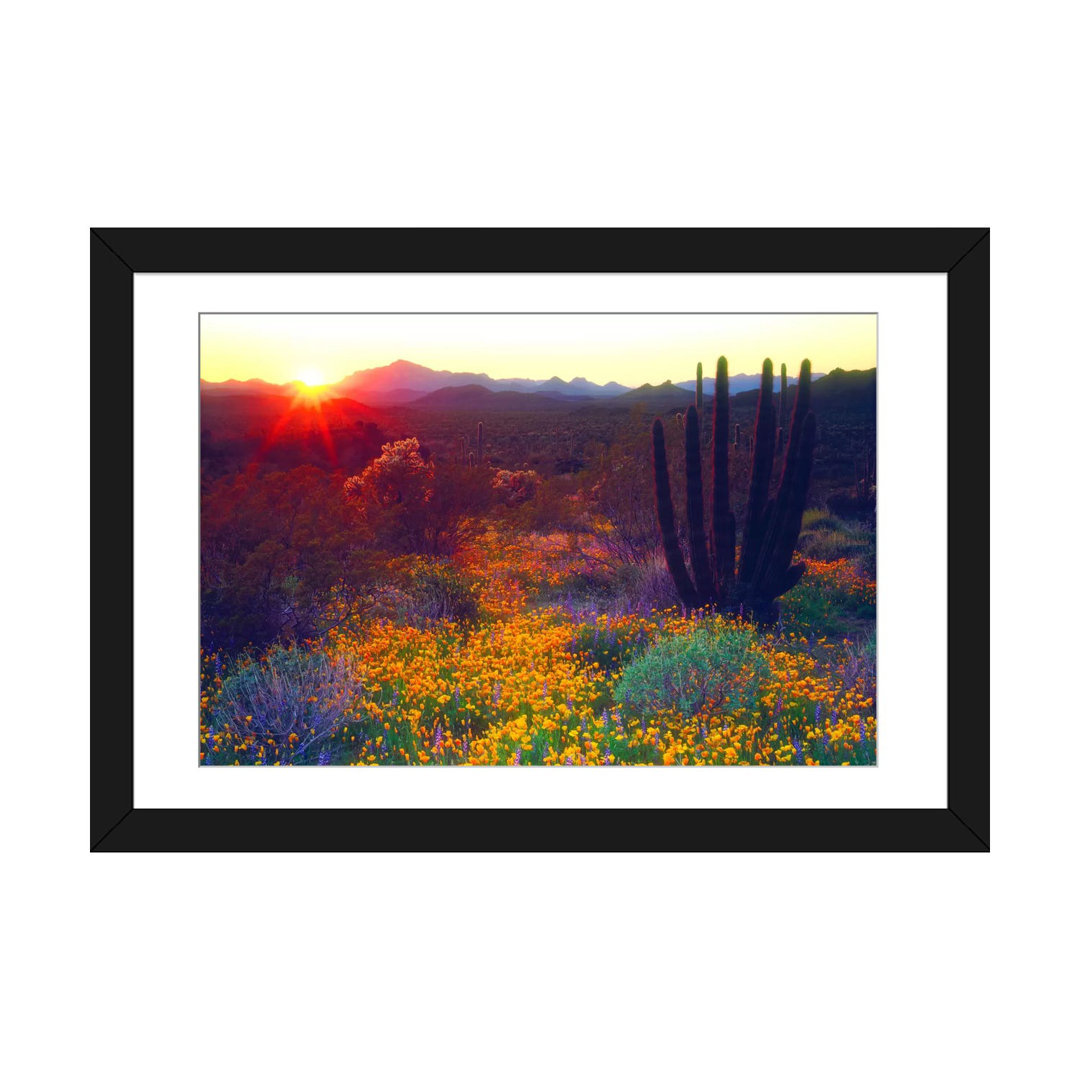" Sunset Over An American Southwest Landscape " East Urban Home 