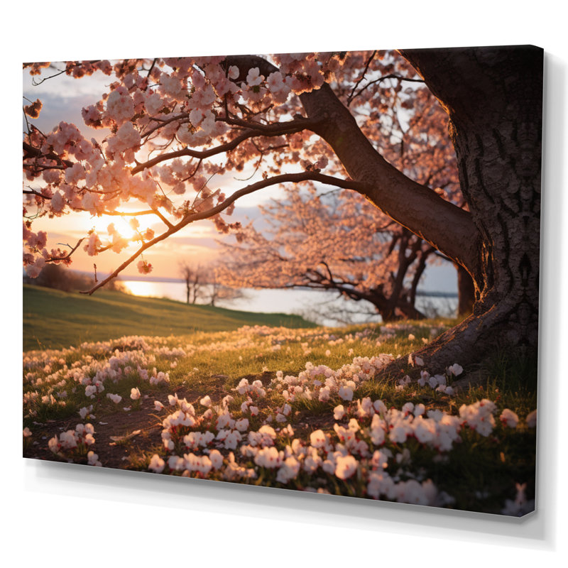 «Pink Cherry Blossom Field II», reproduction sur toile, H 24 po x l 32 po, Toile tendue