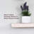 Suzy 2 Piece Pine Floating Shelf