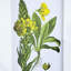4 ornements muraux de fleurs, 20 par 28 pouces, pour la décoration de la maison dans différents espaces, élégance classique, art naturel, décor de plusieurs pièces, style, élément de nature intérieure