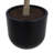 TREE MONEY POT 7FT