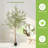 Artificial Olive Tree with Planter Natural Olive Branches