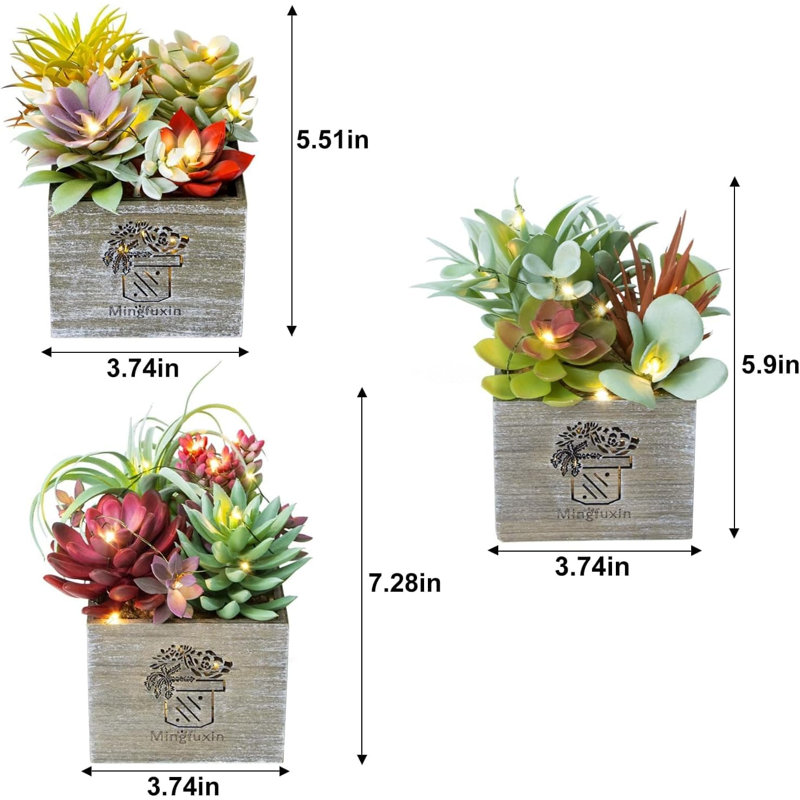 14cm Plant