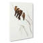 Little Woodswallows by Elizabeth Gould - Wrapped Canvas Art - Wrapped Canvas-55365044
