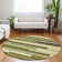  Chayden Area Rug with Non-Slip Backing