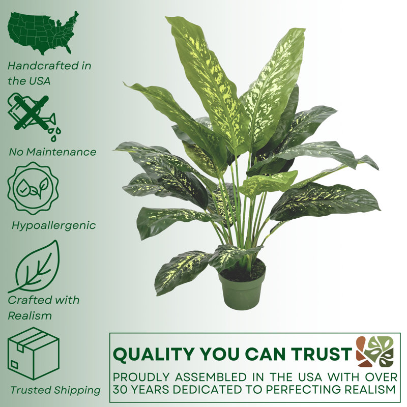 Faux plante de sol Dieffenbachia