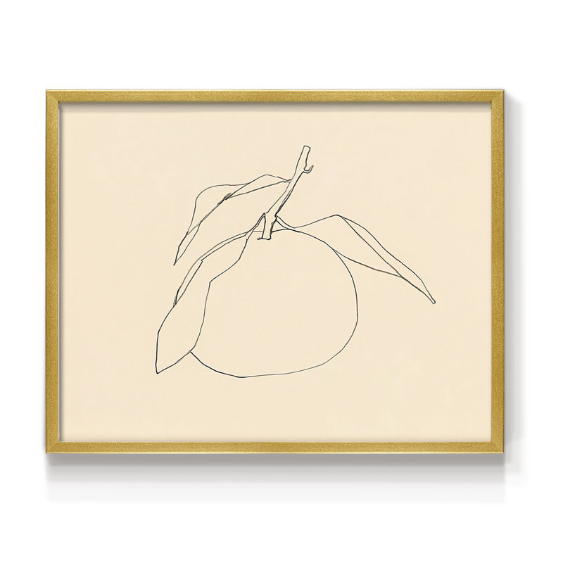 «Citrus Contour I», reproduction encadrée, H 22 po x l 28 po