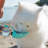 Anti-Skid Pet Bowl-79779937