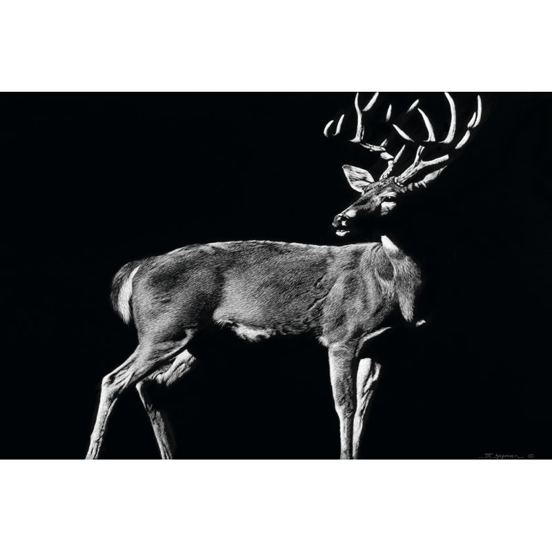 The Prize by Julie T. Chapman - Wrapped Canvas Art Prints, 61cm H x 91cm W