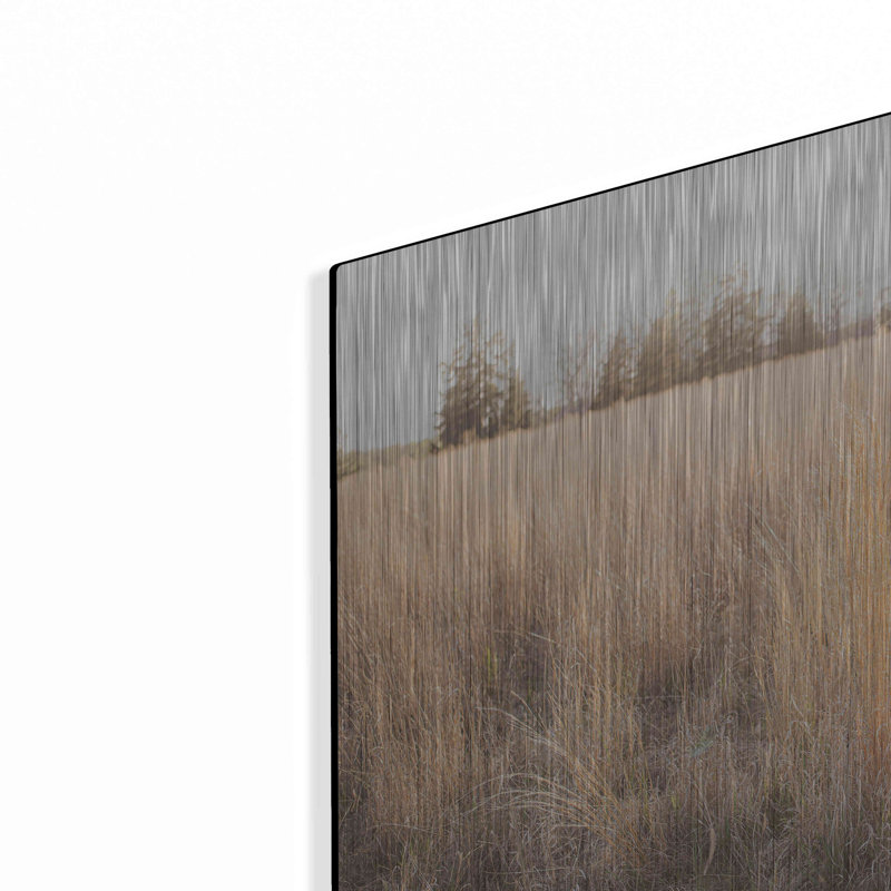 «Bright Sun Haze III» par Donnie Quillen, H 12 po x l 16 po