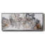 Stay on the Trail - Toile encadrée-110643738