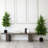 Artificial Norfolk Pine Tree-1606007050