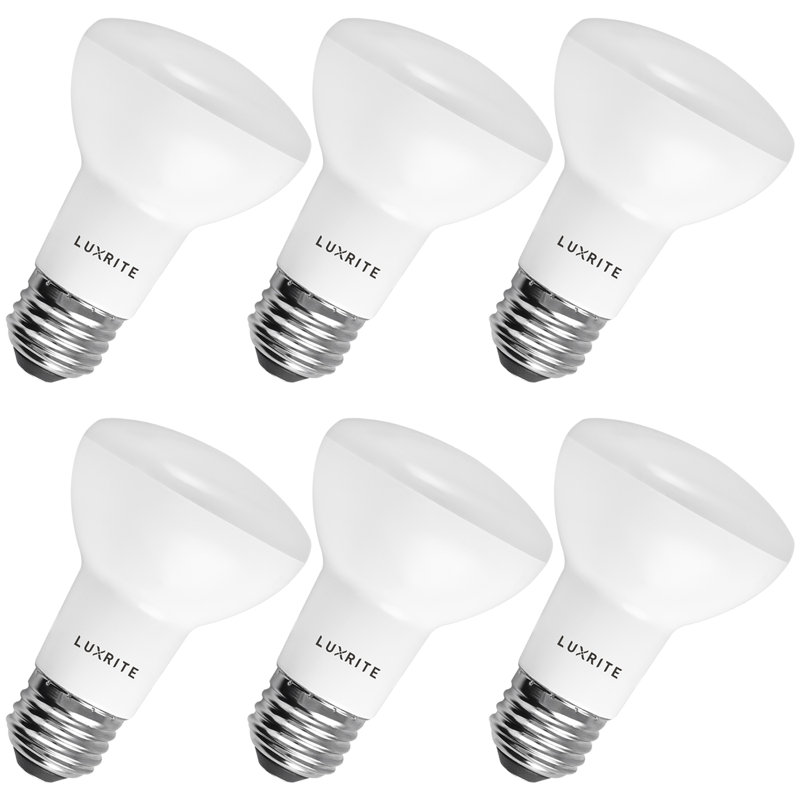 6,5 watts (45 watts équivalents), DEL BR20, ampoule à intensité variable, culot E26 / moyen (standard), 6 500 K