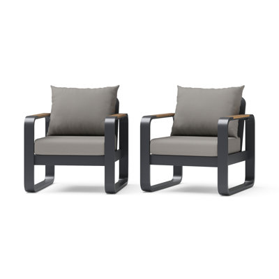 Andes Club Chairs (Set Of 2) - Olefin Charcoal