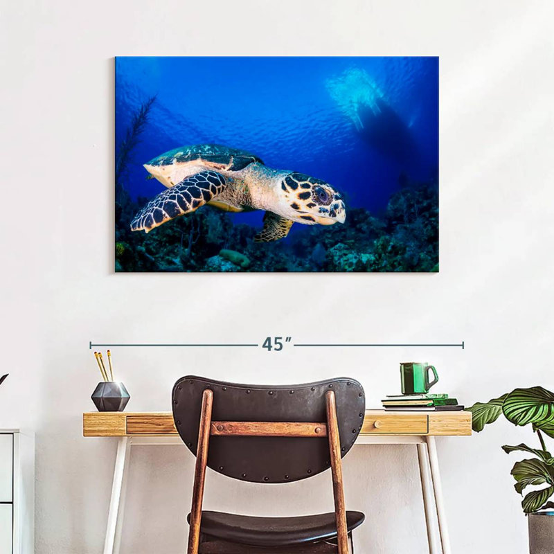 Brampt Underwater Hawksbill Turtle, 26" H x 39" W